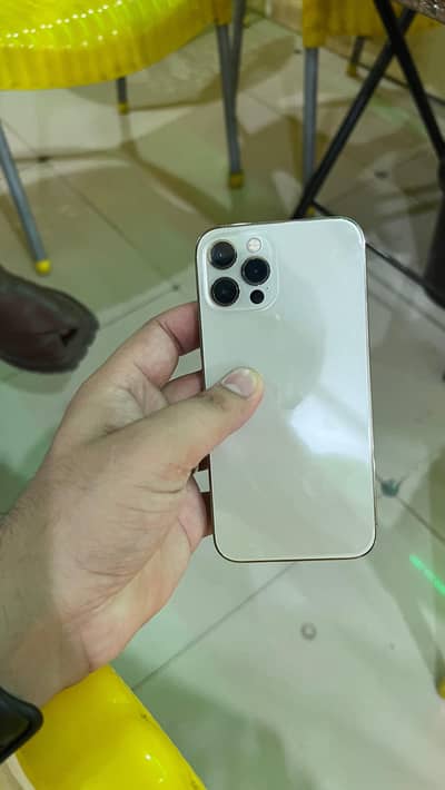 Iphone 12 Pro Golden lush