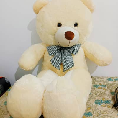 Cute White Teddy Bear
