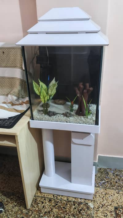 Aquarium w 1.5 x h 2 ft with all equipment