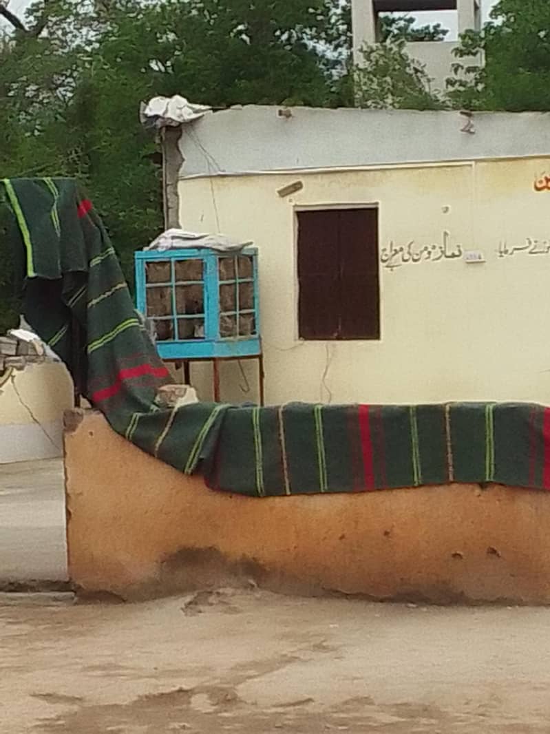 زیر تعمیر جامع مسجد الکرم 1