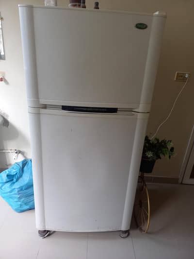 brand gold star (imported)