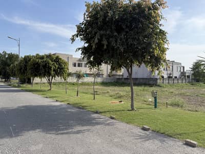 1 Kanal Pair Residential Plot No 720+721 Urgent For Sale | DHA Phase 6 Block C