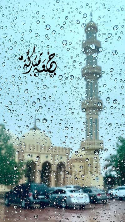 vivo v50 condition 10/10