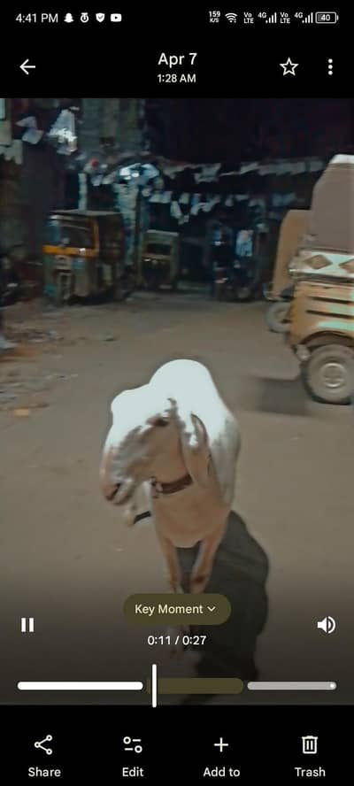 2 dumbe hai aik 2 dant hai or aik khera hai