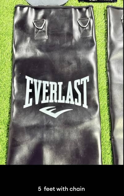 Everlast punching bag