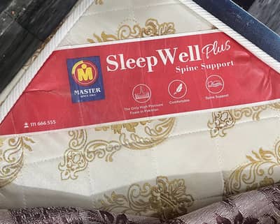 Master Molty Mattress / Foam