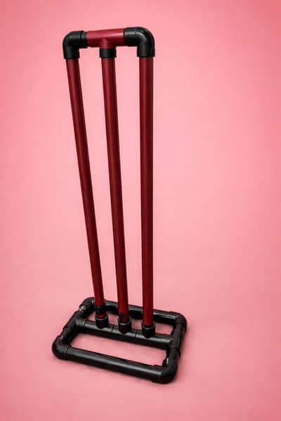 The wicket of cricket