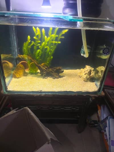aquarium