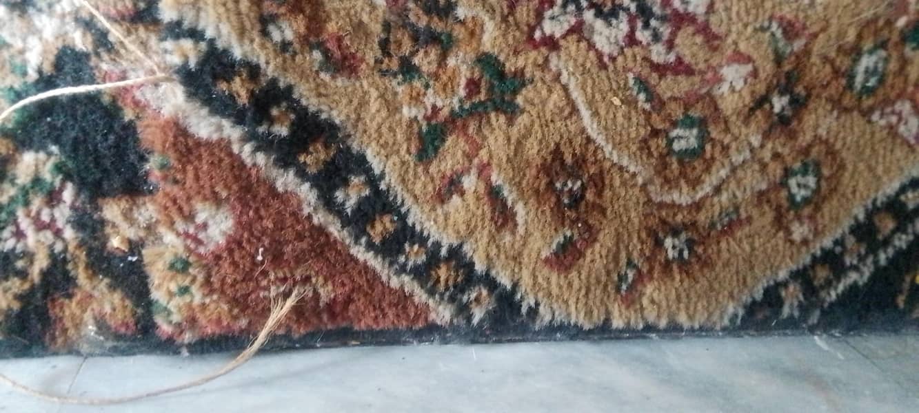 Carpet 0