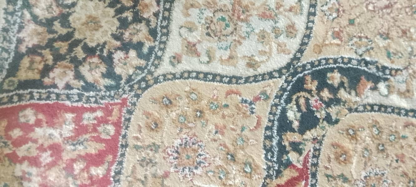 Carpet 2