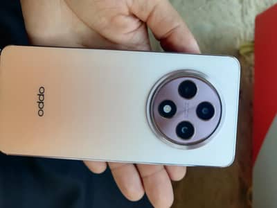 Reno 12F 5G 12+12 ram 256 memory