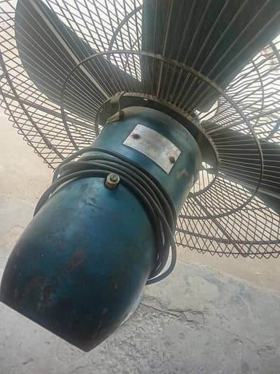Pedestal fan