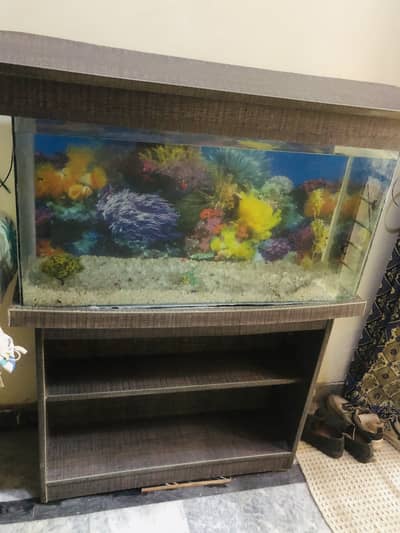 3 feet aquarium > Read add