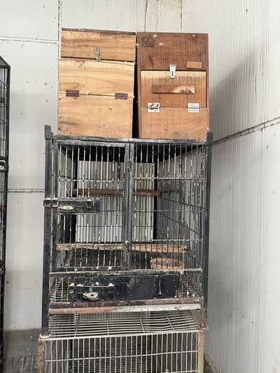 Trolly portions other cages and breeder boxes for sell