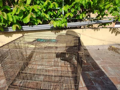 Iron Bird Cages for Sale – Strong Parrot Cages, Large Size, Durable