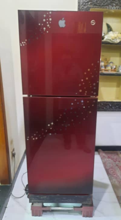 PEL Refrigerator for Sale (Glass Door)
