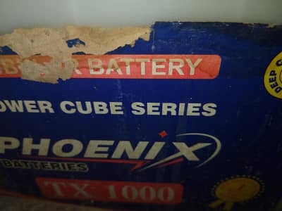 Phoenix TX 1000 Tabular.