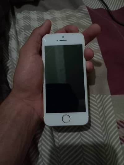 Apple iPhone 5s