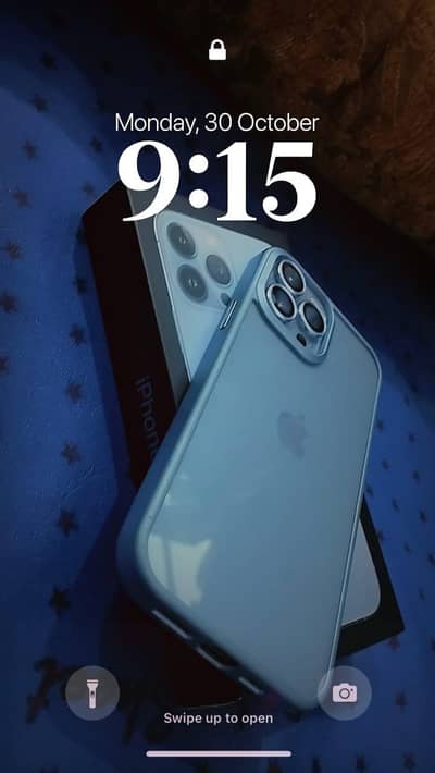 iPhone 13 pro max 256GB /100 Battery