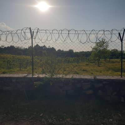 Educated Female Home Tutor Required – Home Schooling