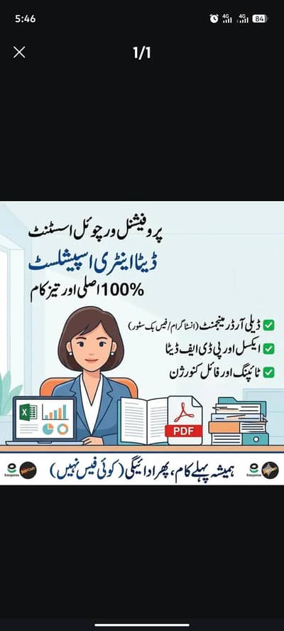 Professional Data Entry & Virtual Assistant (Remote)