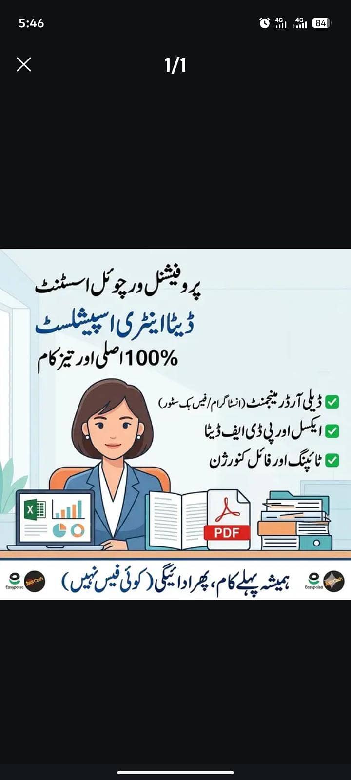 Professional Data Entry & Virtual Assistant (Remote) 0