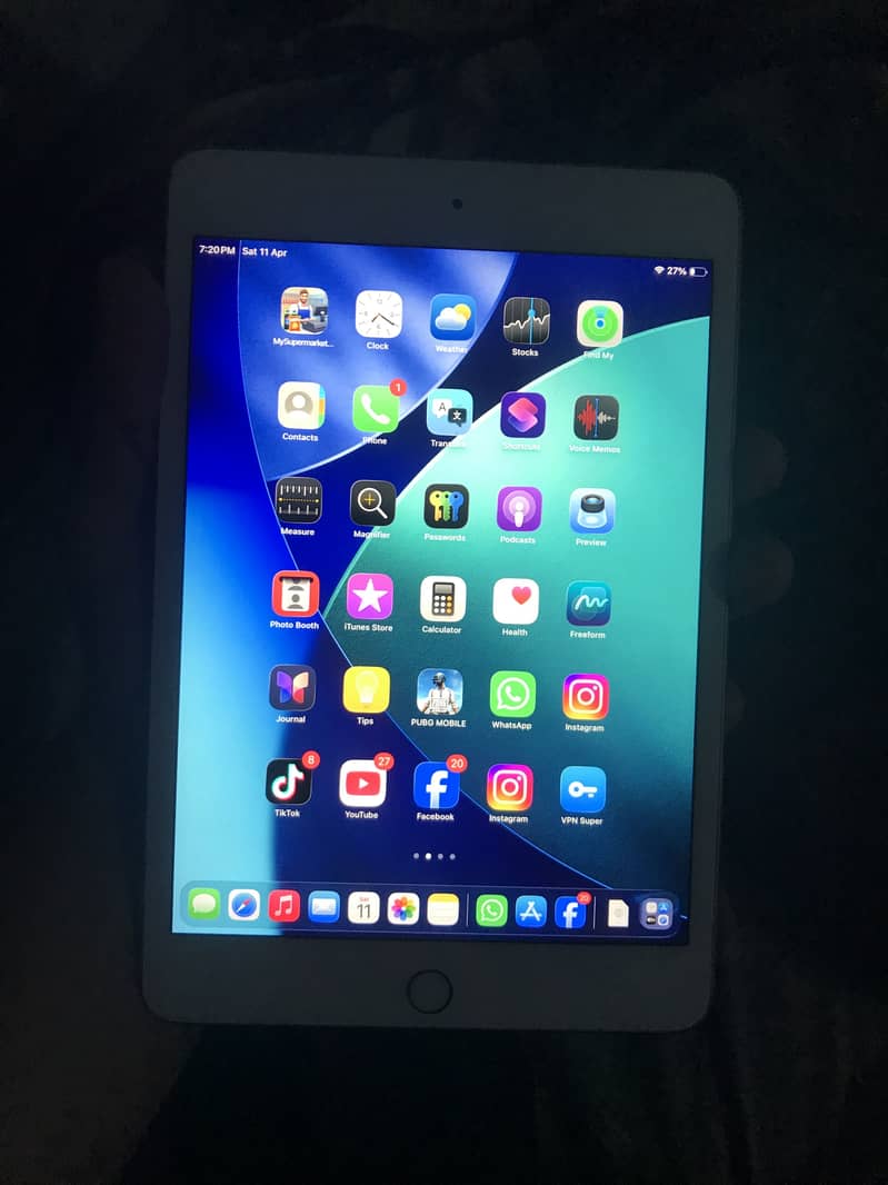 iPad mini 5 1