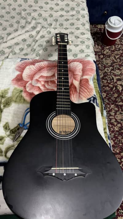 Beginner Guitar for starters