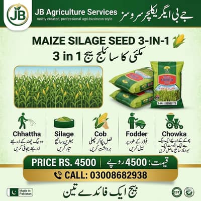 مکئی کا سائلج بیج/Fodder Seeds/Makai ka Sailage Beej/Seeds