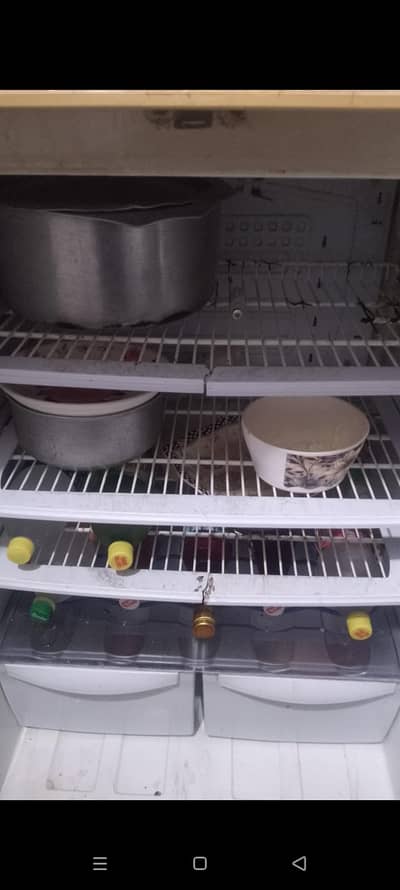 Pel Fridge available