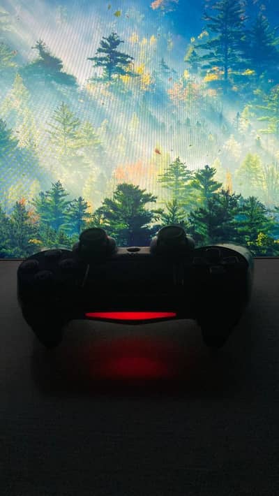 Original Ps4 controller 