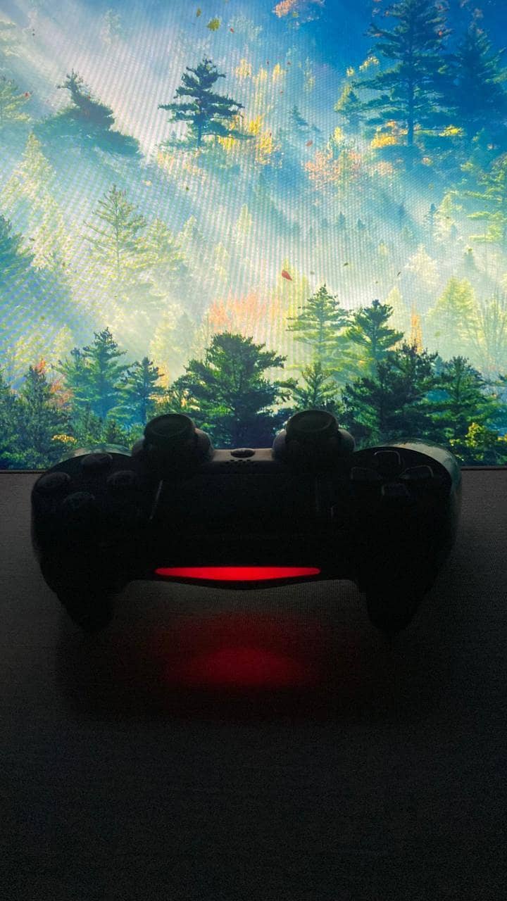 Original Ps4 controller  0