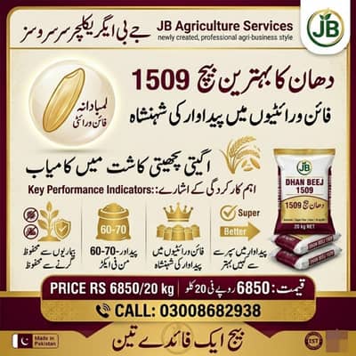 Seeds/دھان کا بہترین بیج 1509زیادہ پیداوار، بہترین کوالٹی!/Paddy Seeds
