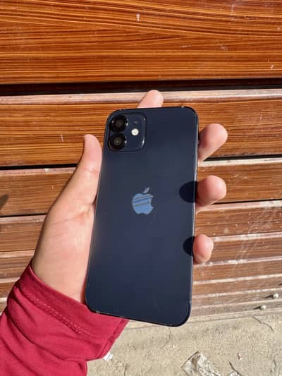 iPhone 12 official dual pta
