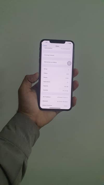 iPhone XS Max 256 Gb