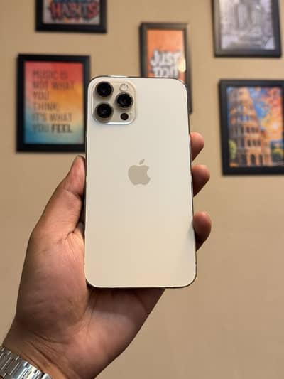 iPhone 12 Pro Max 128GB PTA Approved | 10/10 | 89% Battery | Box