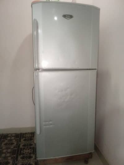 refrigerator single door