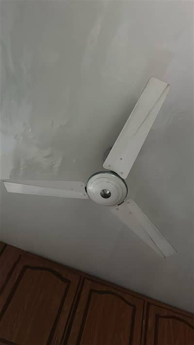 Pakfans 3 piece 10/10 condition