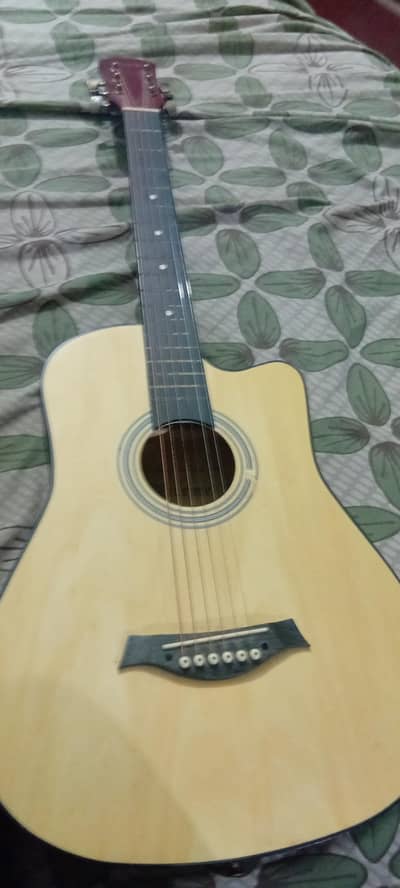 Guitar Xtreme company