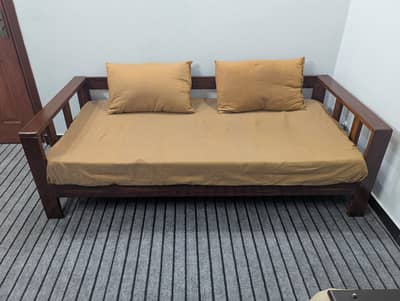 Sofa Cum Bed (Without Mattress)