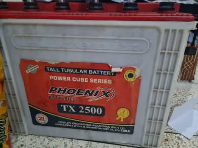 2 Phoenix Tubular Tx 2500 batteries