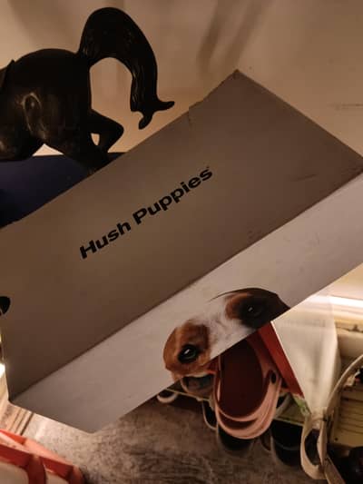 hush puppies shoes