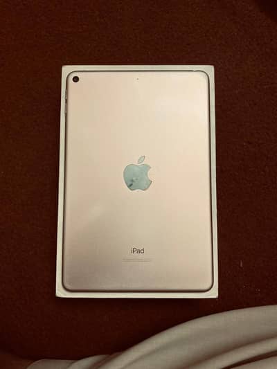 iPad mini 5