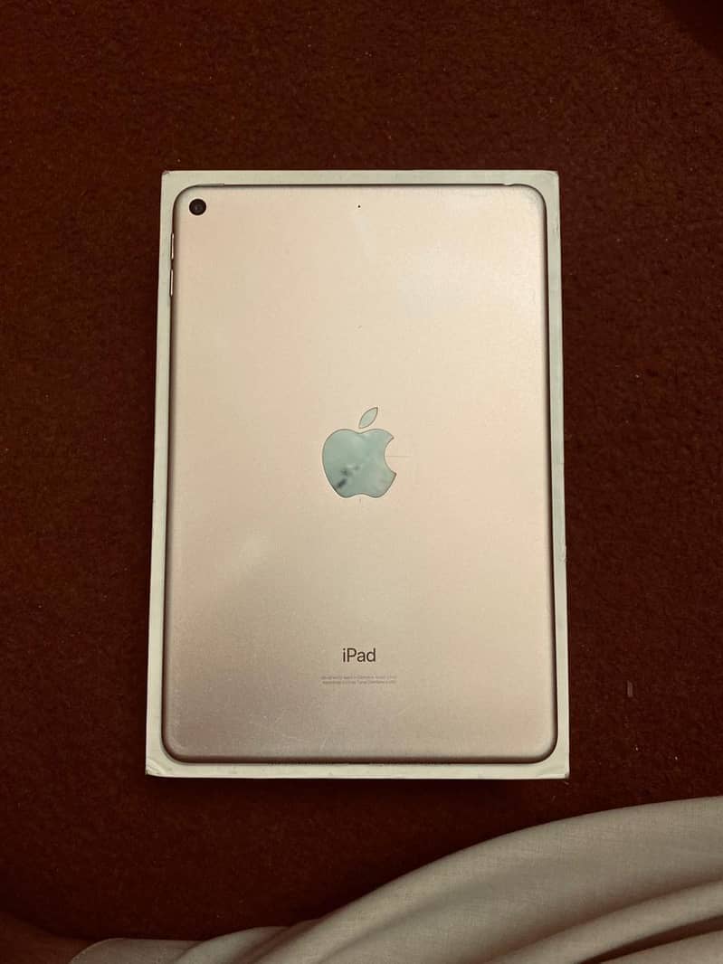 iPad mini 5 0