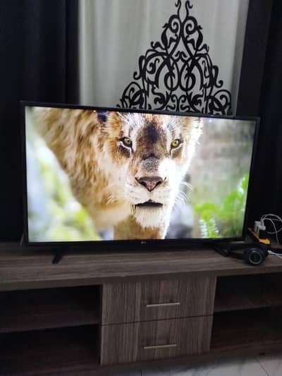LG 49 Inch Led With smart TV Device