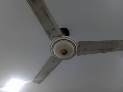 super FAN 03365045950