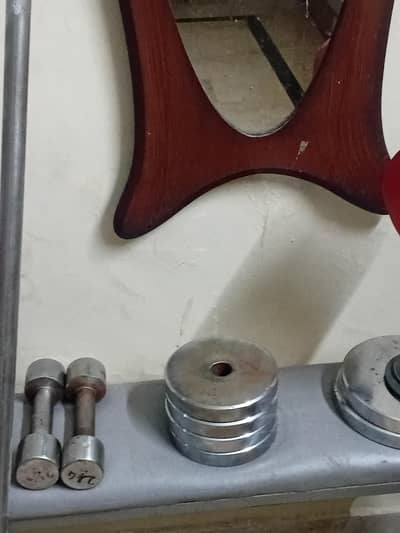 Complete Home Gym Bundle: Barbell, Weights, Bench & Digital Scale