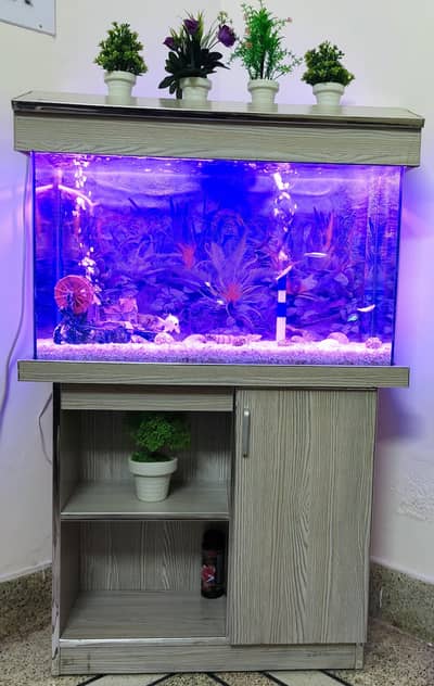 Fish Aquarium with all setup