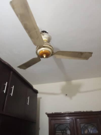 Lahore fan  (5) fan hn