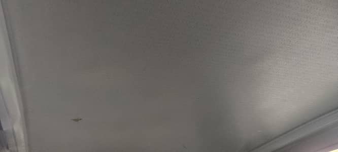 Coure in Excellent condition 2006 model